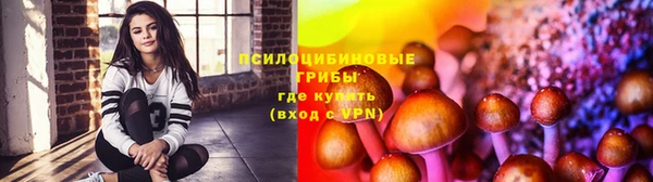 метадон Алексеевка