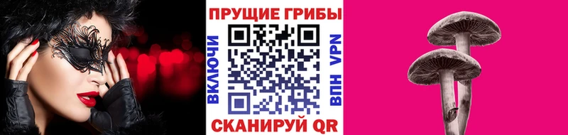 как найти закладки  Мостовской  Галлюциногенные грибы MAGIC MUSHROOMS 
